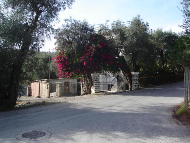 Natsios Apartments Vlachopoulatika ภายนอก รูปภาพ